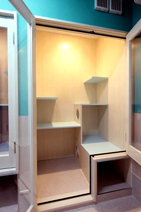 VIPコース・室内