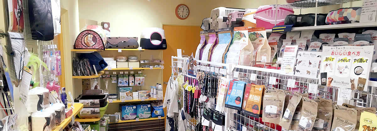 猫ちゃん専用ペットホテル