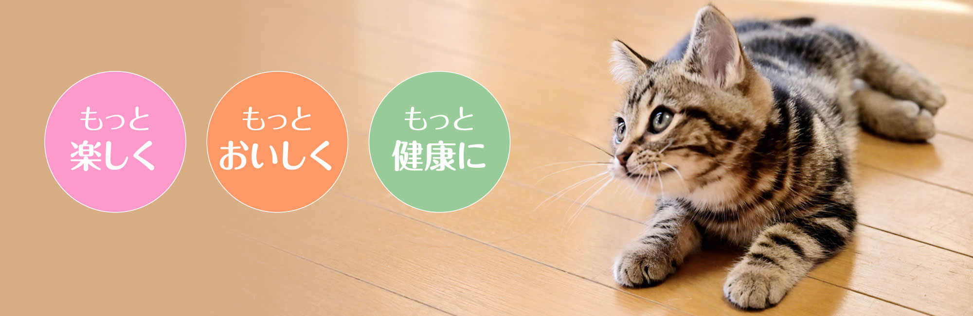 cat salon Yuki（キャットサロン・ユキ）